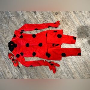 Miraculous Halloween costume